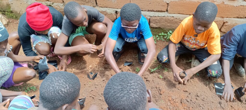 Kids For Trees: Sowing Seeds of Sustainability