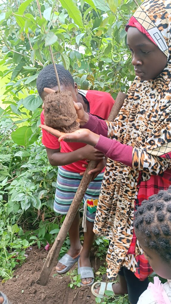 Kids For Trees: Sowing Seeds of Sustainability