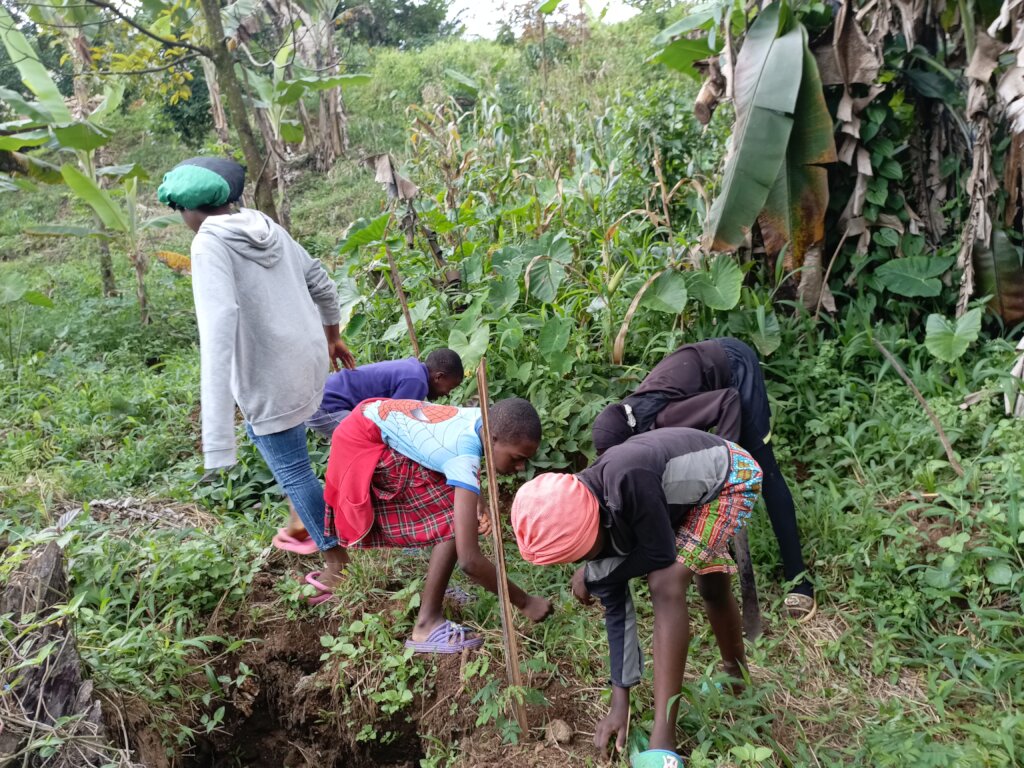 Kids For Trees: Sowing Seeds of Sustainability