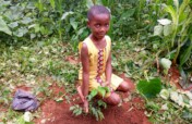Kids For Trees: Sowing Seeds of Sustainability