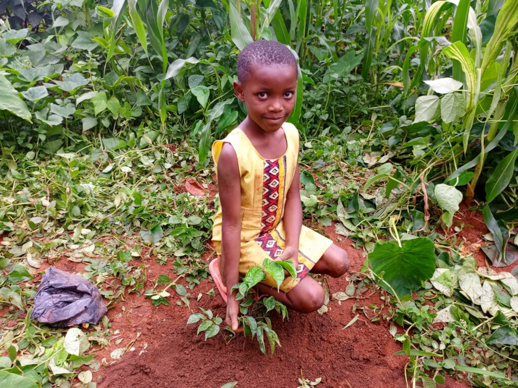 Kids For Trees: Sowing Seeds of Sustainability
