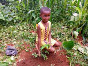 Kids For Trees: Sowing Seeds of Sustainability