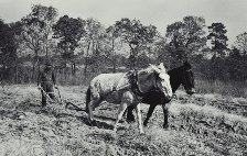 Save Black Farmers