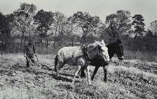 Old Farm Photo