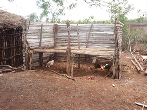 Improved chicken house built with sisal