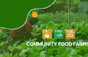 Grow Food, Feed Hope: Support PH Community Farms