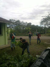 Team placing trees at church lot