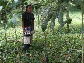 Jimmy in the shade of his trees. Planted 2011
