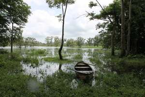 Boating to plant trees, quiet and peaceful