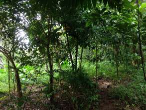 Rio Sol Bio Corridor, January 2014, 2 1/2 yrs