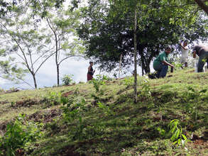 Men and women planting