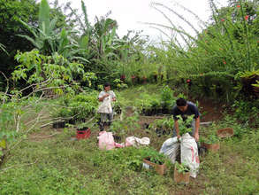 Trees ready for loading on the horses