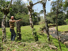 The deforested banks of the Rio Sol