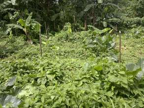 Before maintenance cleaning