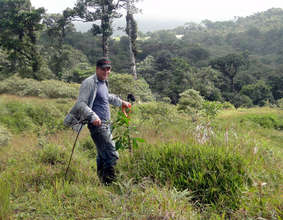 Brian Nicewander, an amazing volunteer