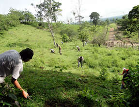 Maleku team cleaning Franklin Mojica's site