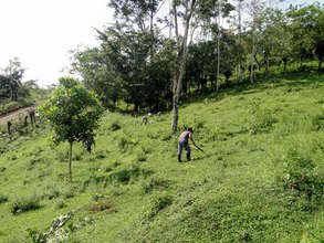 The maintenance front line