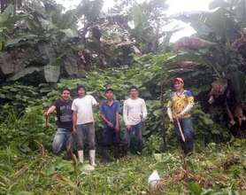 The crew during the second phase planting