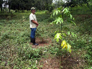 Daniel standing next to the unkknown tree