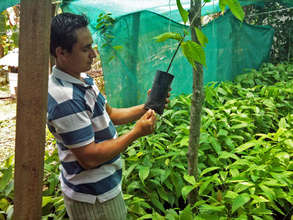 Deibys in his cacao nursery