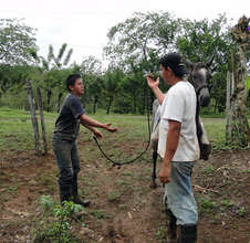 Esefan and Çhico, the horse wranglers