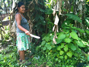 Fidelina showing us her nursery