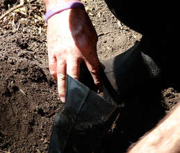 Filling bags in the new nurseries