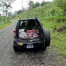 The car, “Joya”, hauling trees back and forth