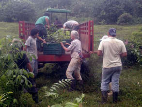 Unloading the trees at the farm