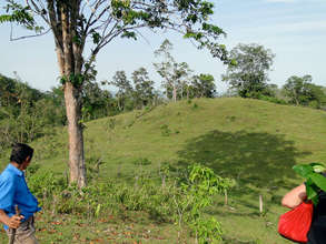 Marvin's 14 hectares of pasture to be planted