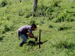 Melvin at Franklin Mojica's nursery