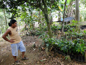 Nursery at the Franklin Mojica farm