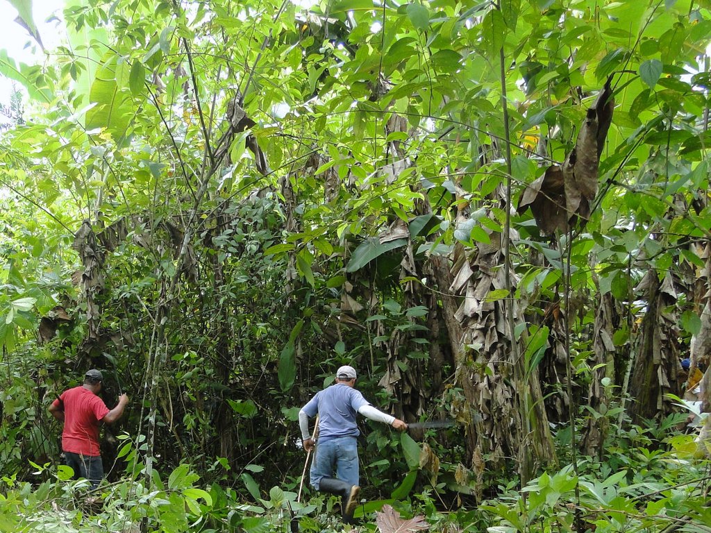 Rio Sol Bio Corridor, Maleku Reserve, Costa Rica