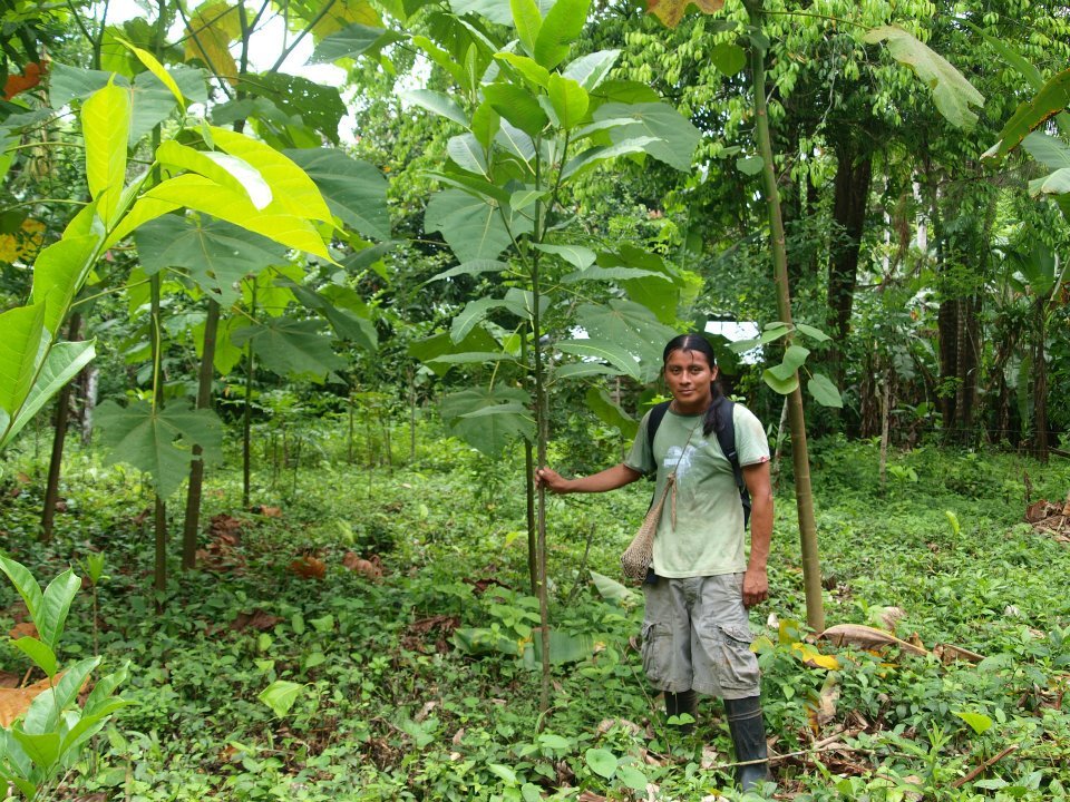 Rio Sol Bio Corridor, Maleku Reserve, Costa Rica