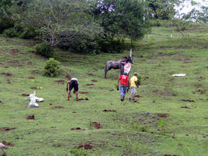 Planting at Franklin Mojica’s farm