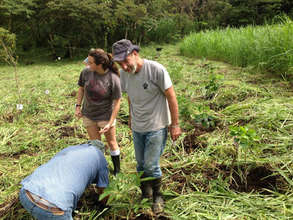 Courtney, Dan, and Tom planting trees