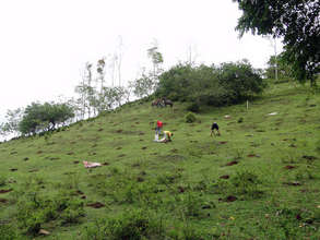 Planting at Franklin Mojica’s farm