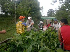 Hauling trees w/tractor and trailer