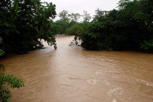 Sol River at flood stage. Forests prevent flooding