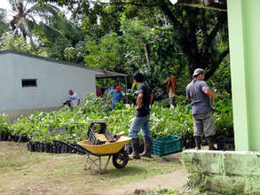 Central storage of trees Methodist Church Tonjibe