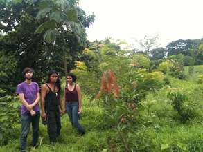 You Did This - Rio Sol Bio Corridor, 1 year later