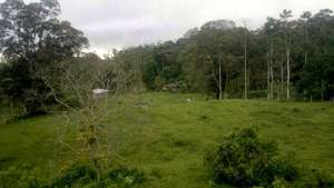 Viento Fresco, 2011 planting time, see the house?