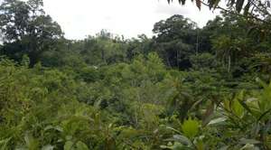 2013 - Same view @ Viento Fresco 2 yrs. later