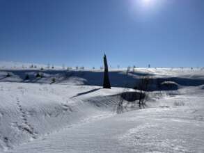 Winter at AlgomaTrad - 2018 trees poking through!