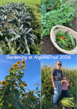 New Gardens! (2)