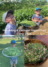 Harvest Time!