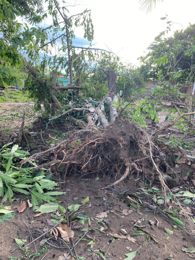 Piedra Labrada - Ometepec