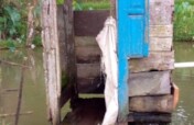 Build Public Toilets & Safe Sanitation
