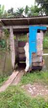 Build Public Toilets & Safe Sanitation
