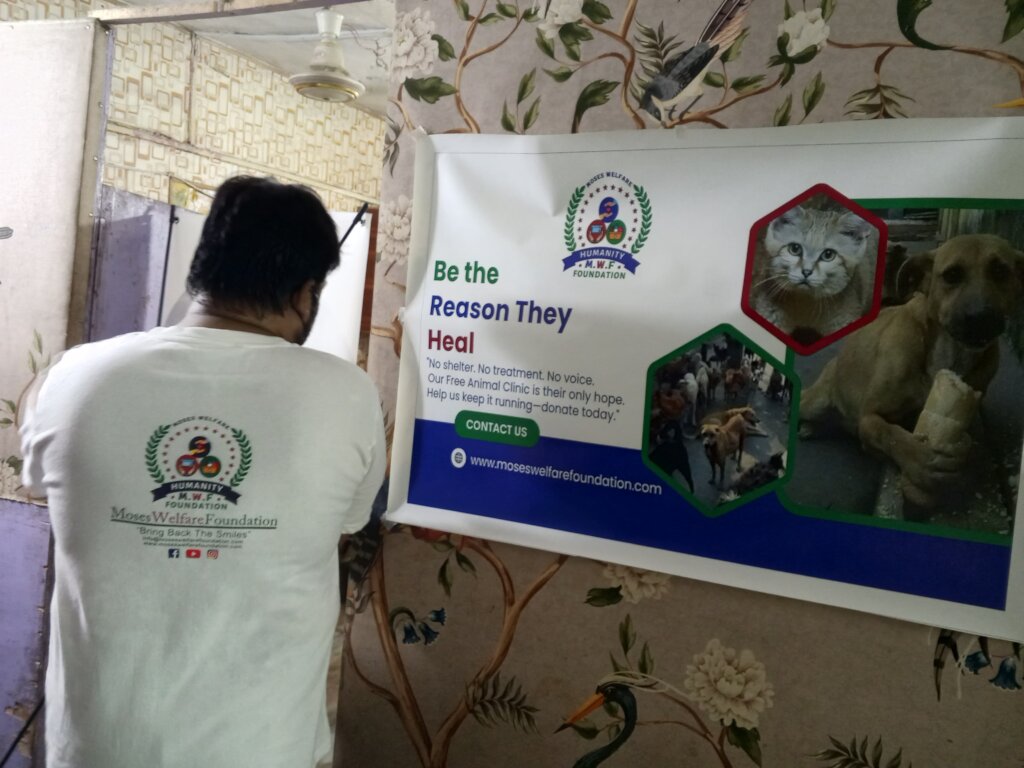 "Wounded & Alone-Stray Souls Need You in Pakistan"